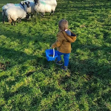 Shadow River Farm